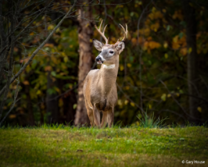 November 2022 Photo Contest Winner: Gary House