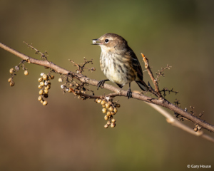 October 2022 Photo Contest Winner: Gary House