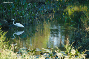 September 2025 Photo Contest Winner